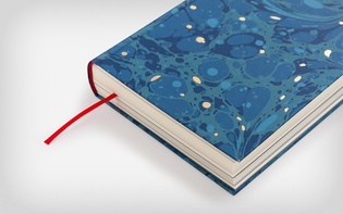 Die Andere Bibliothek: Der fremde Ferdinand (© Hagen Verleger, 2020)