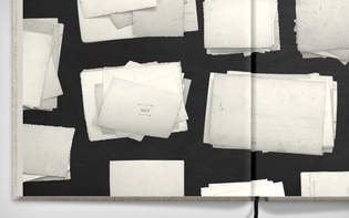 Detail of the photo stacks