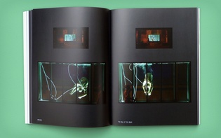 Anne Quirynen: Reflections into a Thousand Pieces (Design: Hagen Verleger)