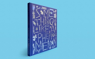 Sharvon Van Overmeiren: Something Like A Phenomenon (© Hagen Verleger, 2021)