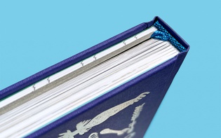 Sharvon Van Overmeiren: Something Like A Phenomenon (© Hagen Verleger, 2021)