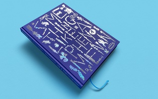 Sharvon Van Overmeiren: Something Like A Phenomenon (© Hagen Verleger, 2021)