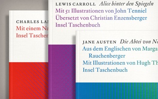 Insel Taschenbuch, detail